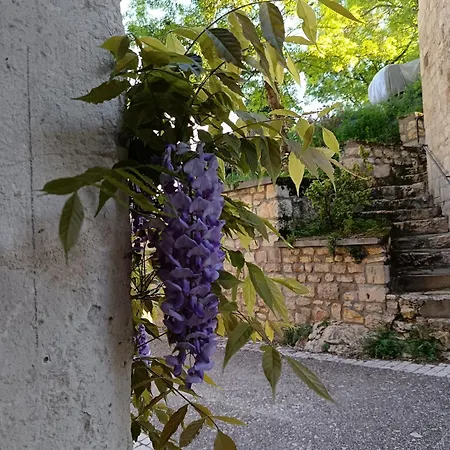 Сasa de vacaciones Charmante Maison De Village Du 13eme Siecle Cestayrols